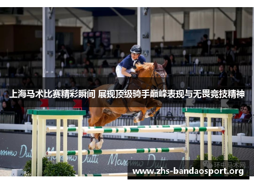 上海马术比赛精彩瞬间 展现顶级骑手巅峰表现与无畏竞技精神